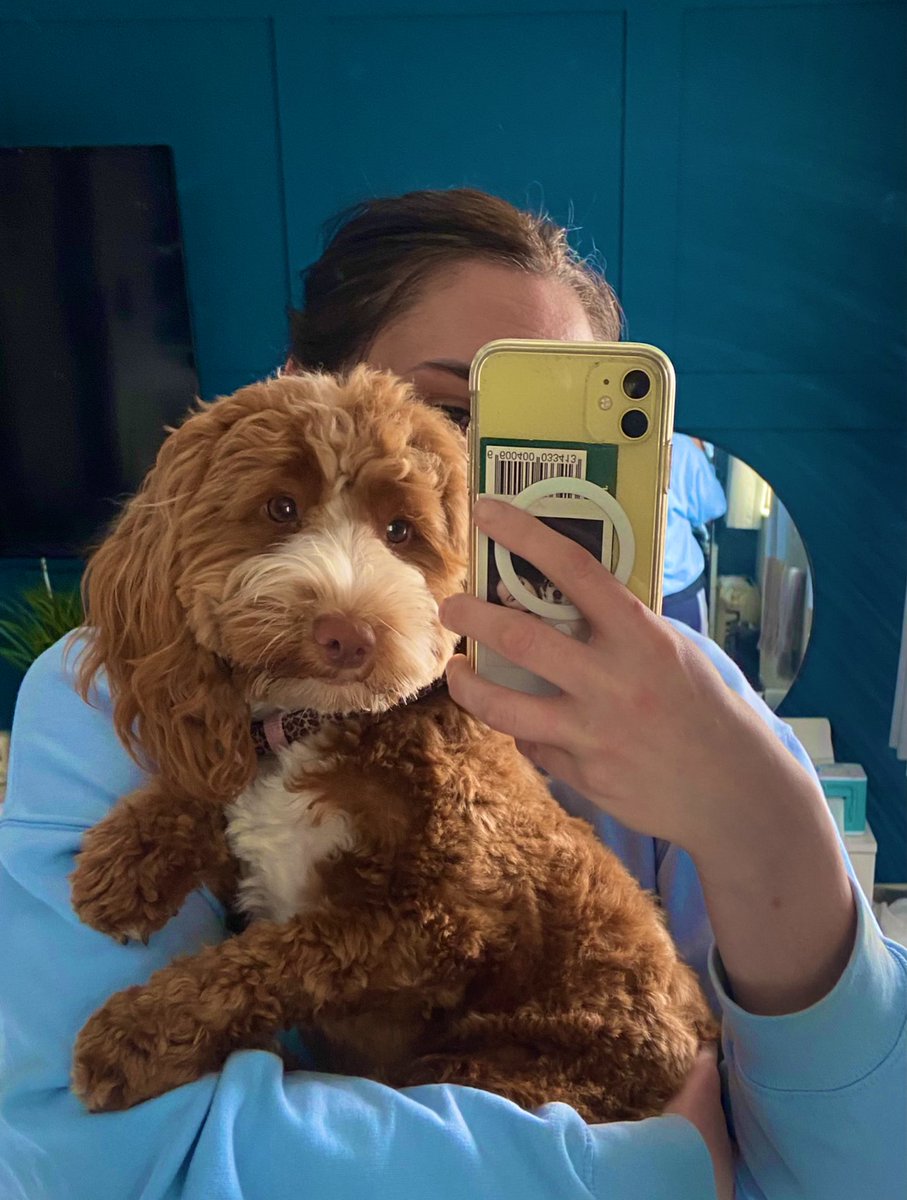 renderful tweet media