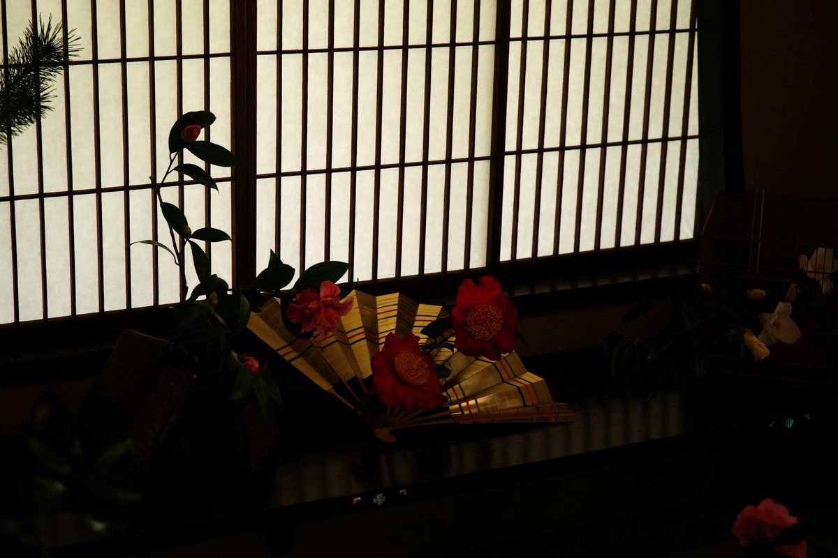 bell_of_liberty's tweet photo. 見に行ってきました!リアル百椿図の世界❣️
とても素敵でした
陰翳礼讃を思い出す光の使い方でした
#nezumuseum #根津美術館 https://t.co/QwUeOok7hx