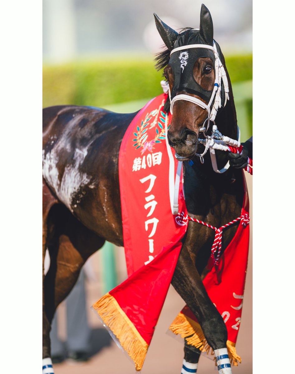 フラワーカップ