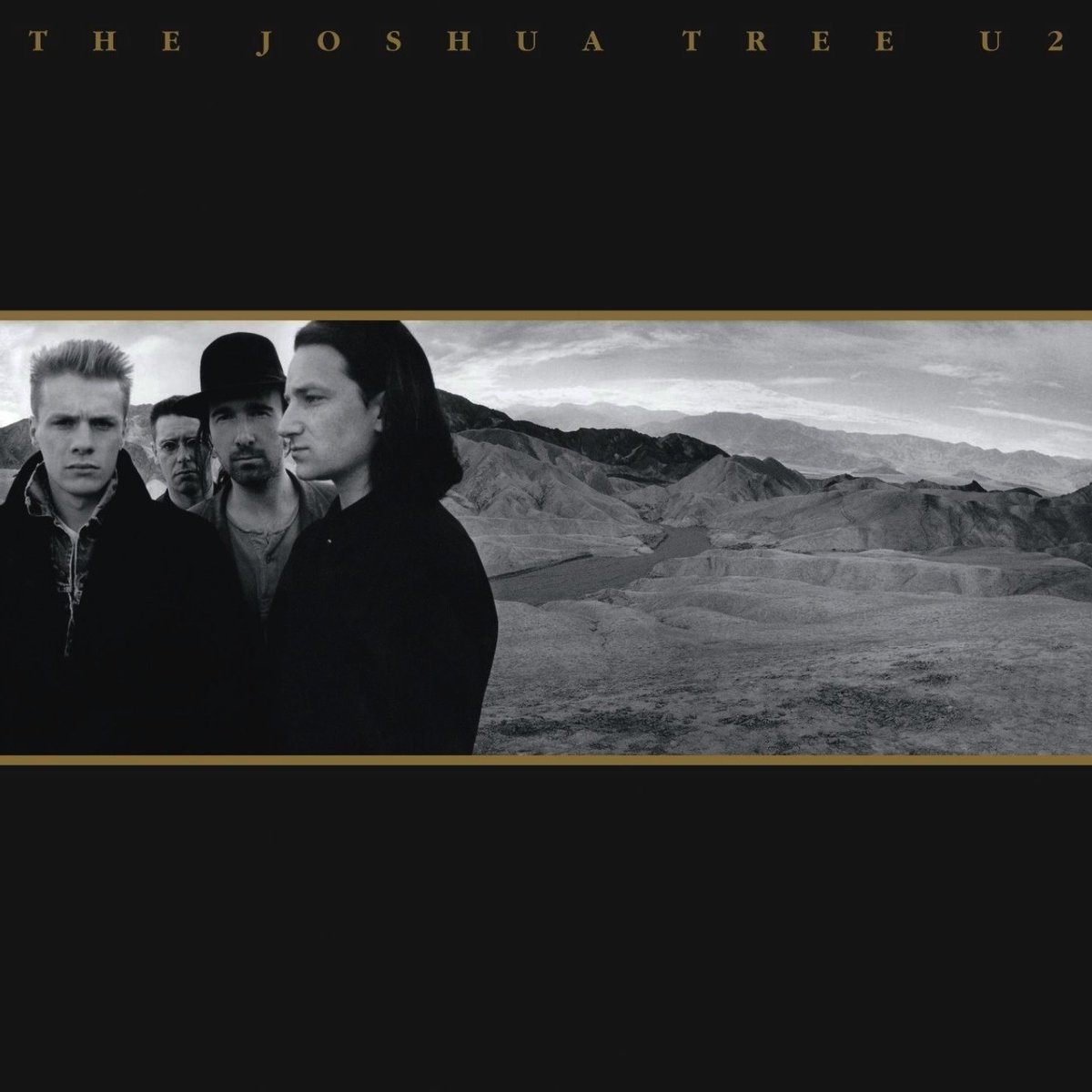 ALBUMISM tweet media