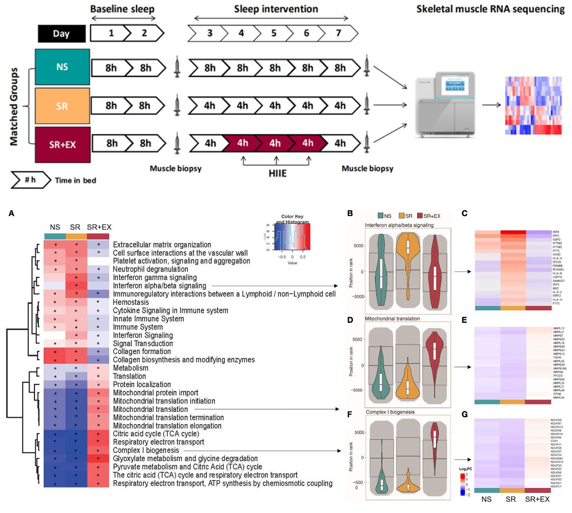 David Bishop (🦋 also bluespotscience.bsky.social) tweet media