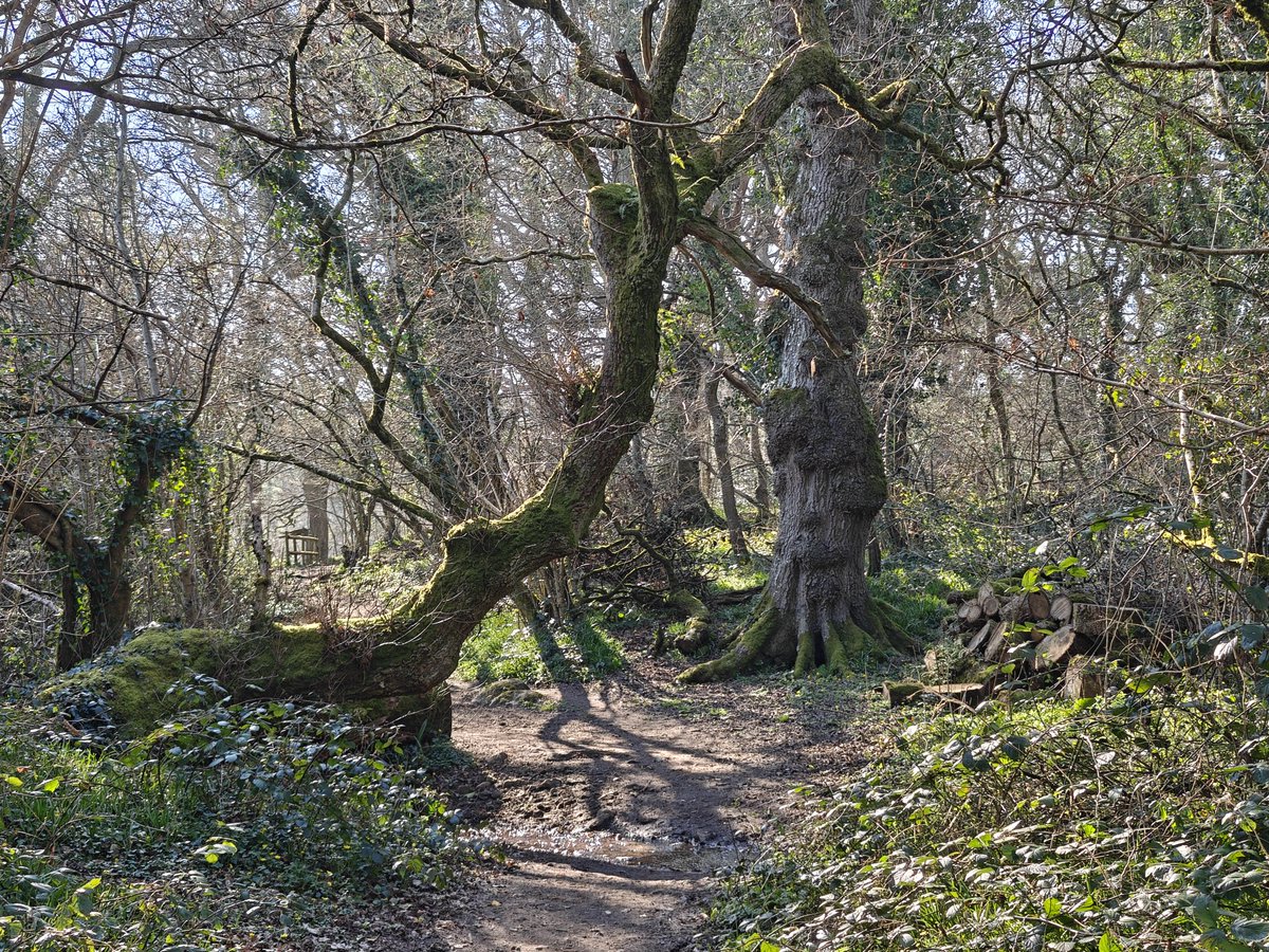 Anita Cook tweet media