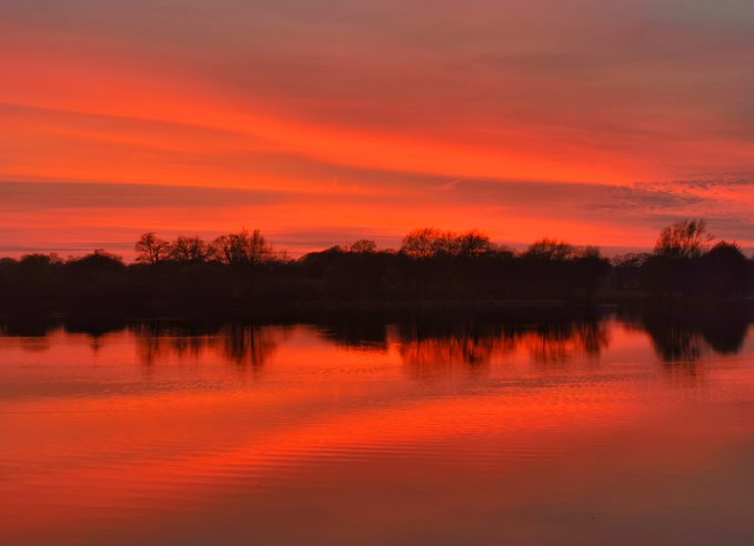 Met Office tweet media