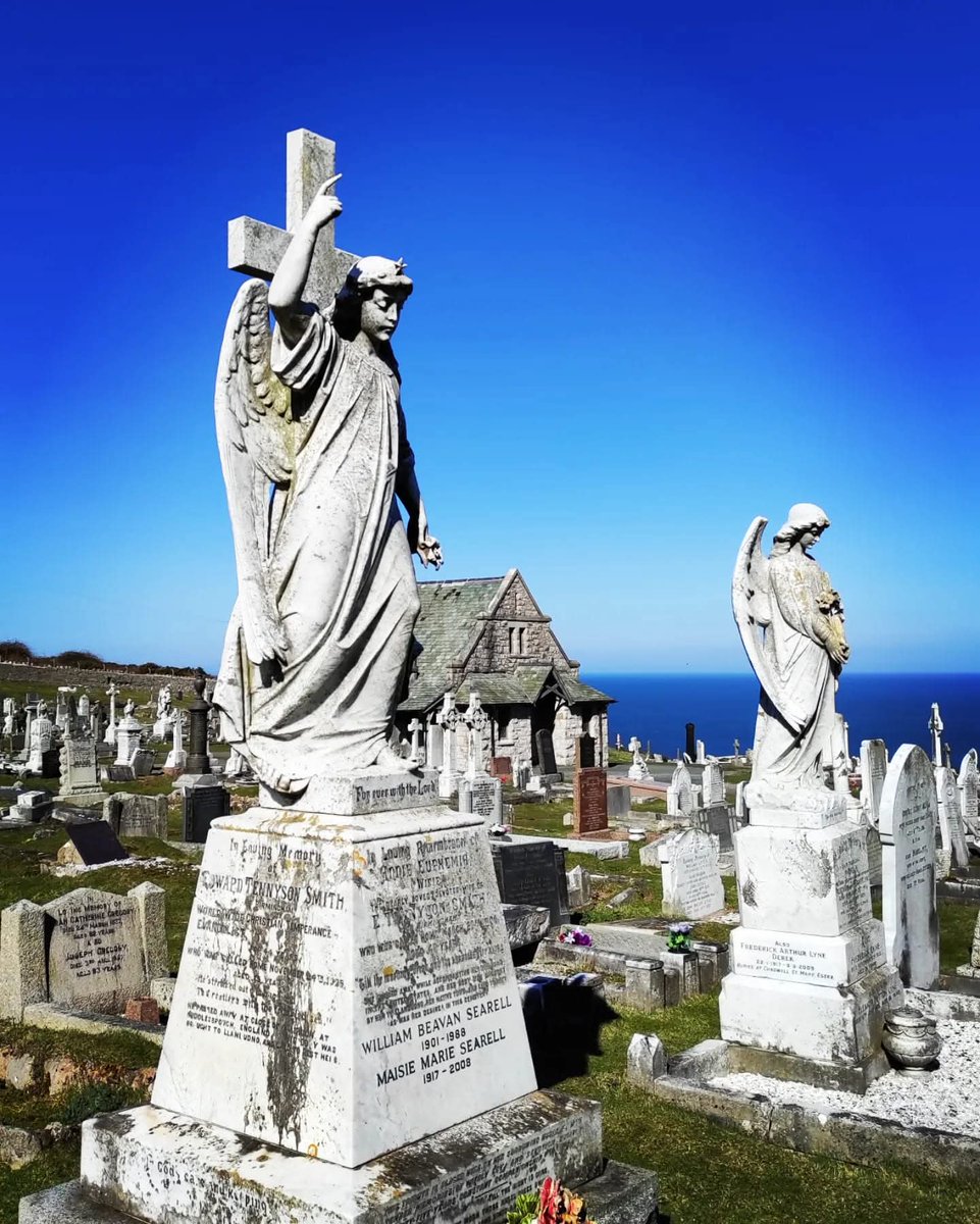 𝕸𝖔𝖗𝖌𝖆𝖓 tweet media