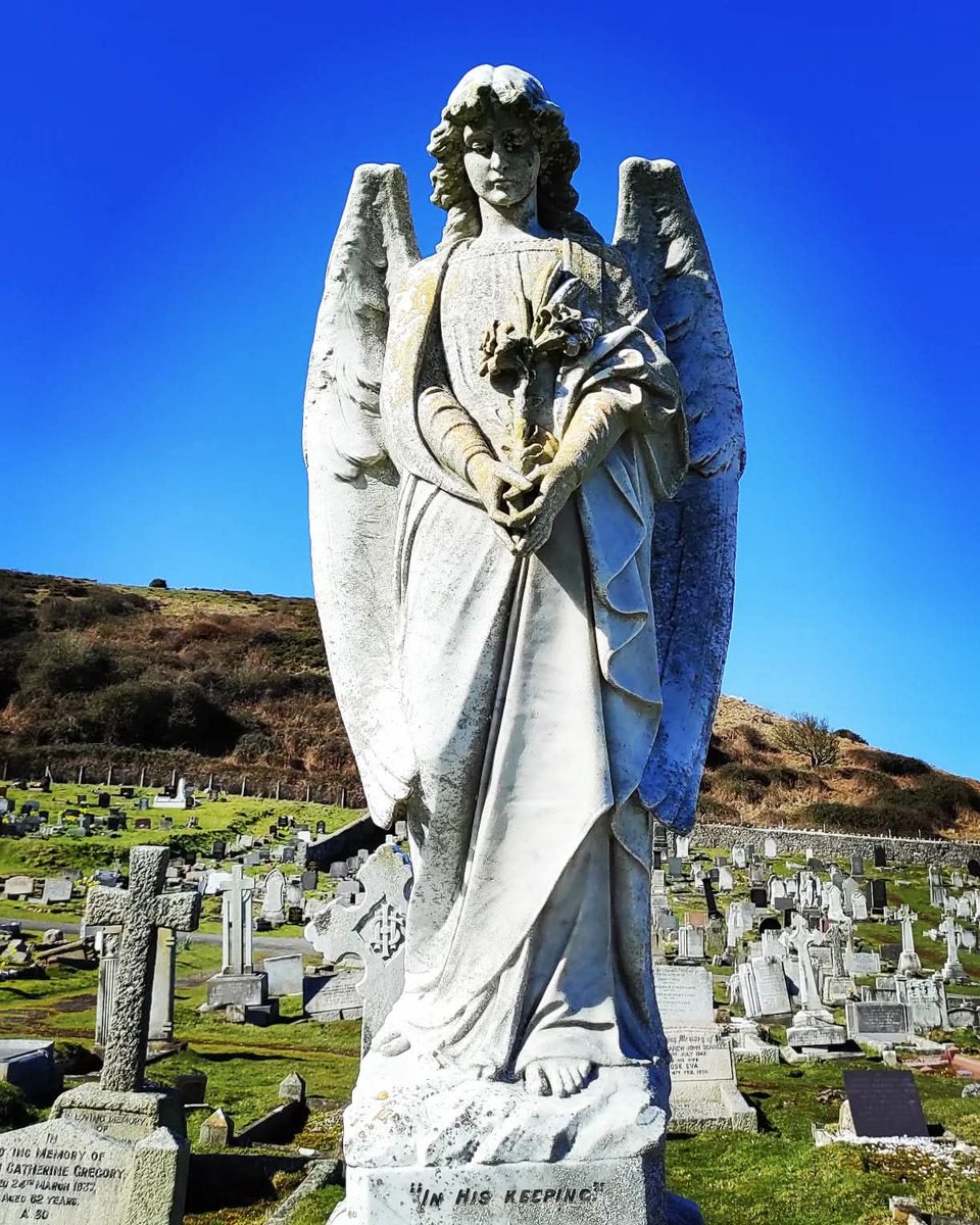 𝕸𝖔𝖗𝖌𝖆𝖓 tweet media