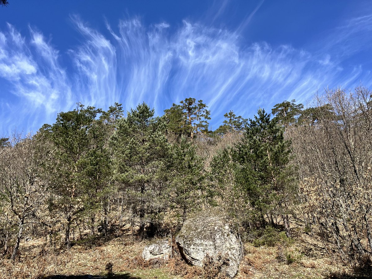 Carlos Echeverría tweet media