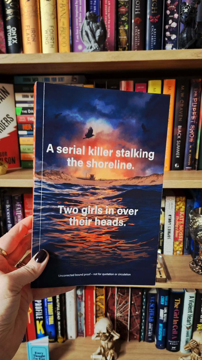 Author - Noelle Holten ✍ tweet media