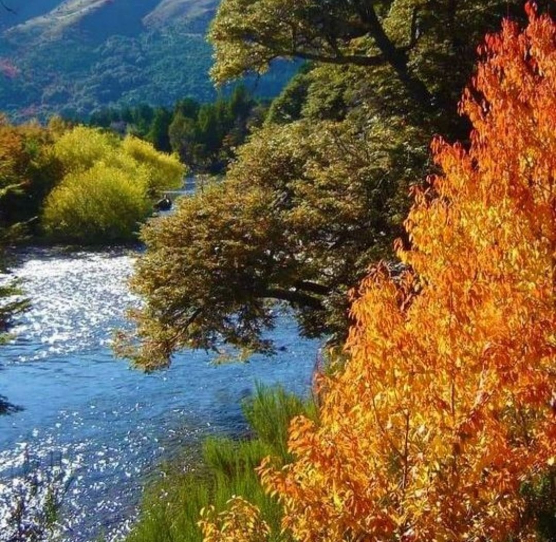 Nefertiti tweet media