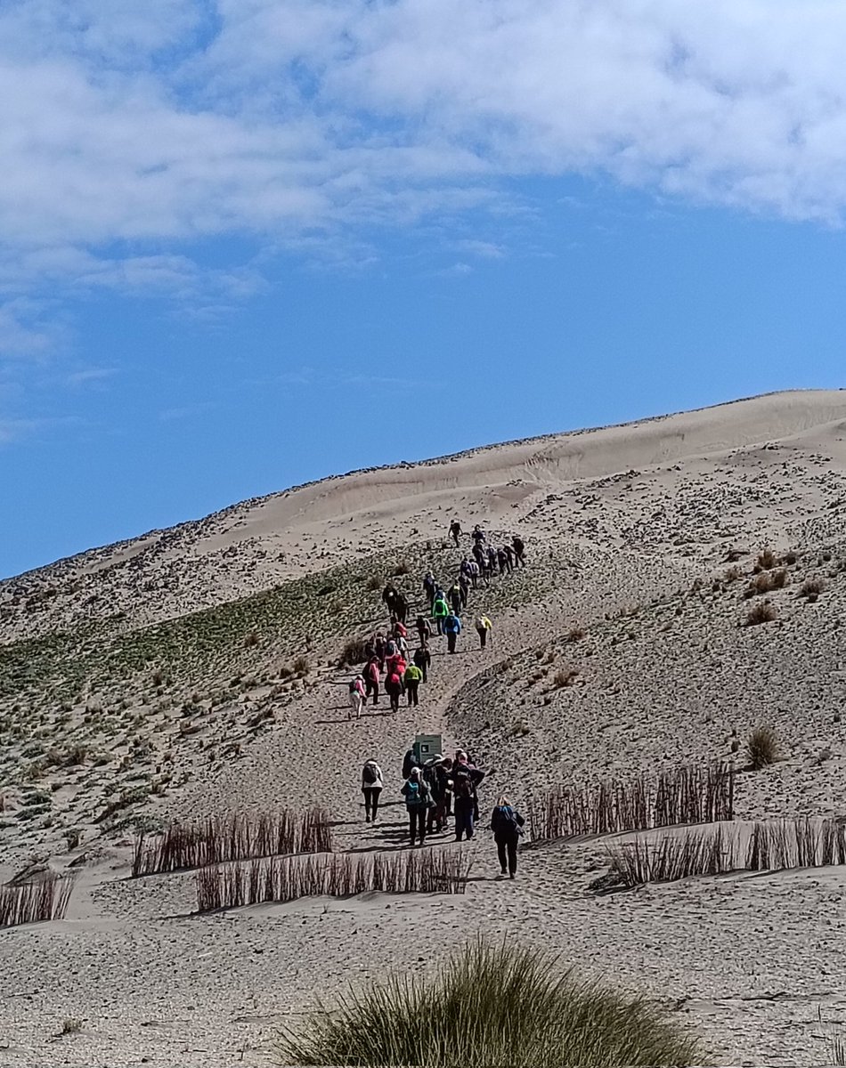 CINEPATICO tweet media