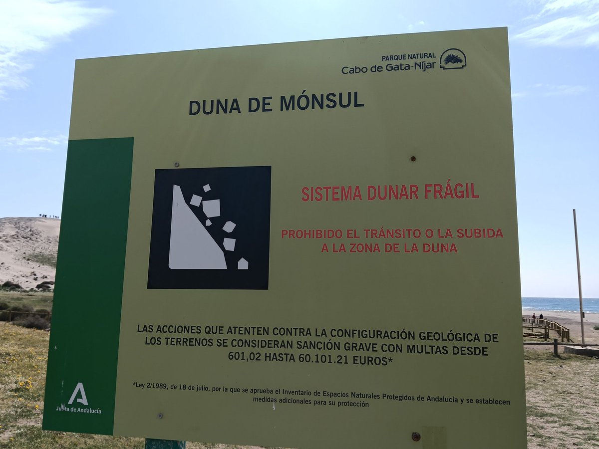 CINEPATICO tweet media