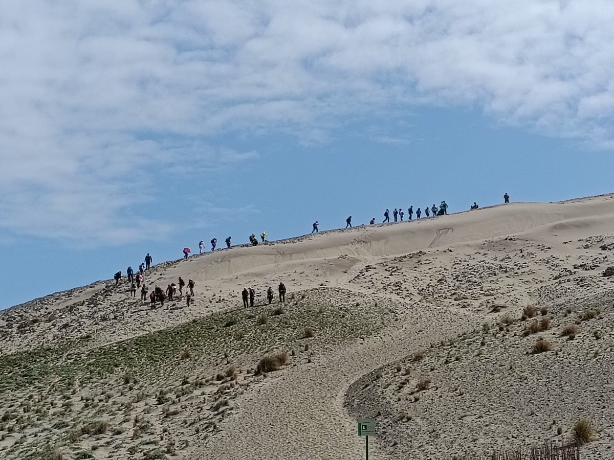 CINEPATICO tweet media