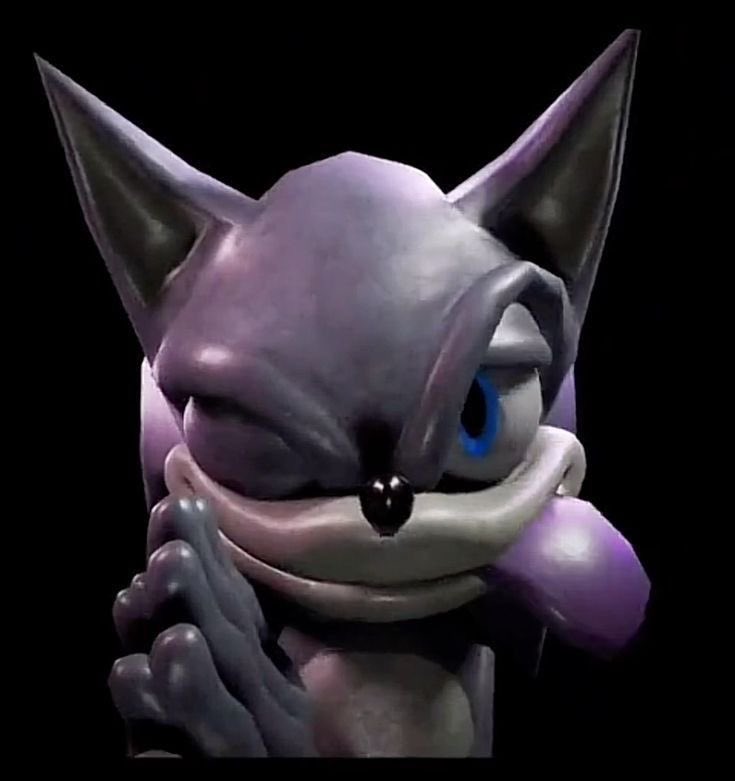 Finn🦝 tweet media