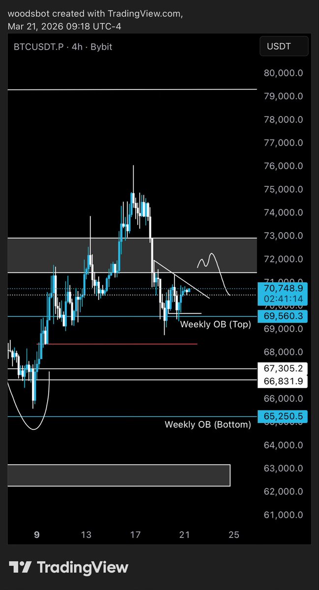 woods.ai tweet media
