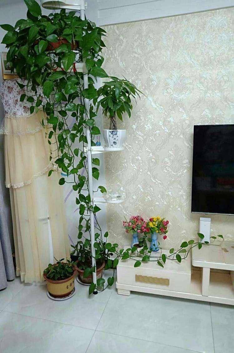 account not used tweet media