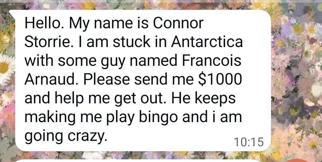 dudinha🏒 tweet media