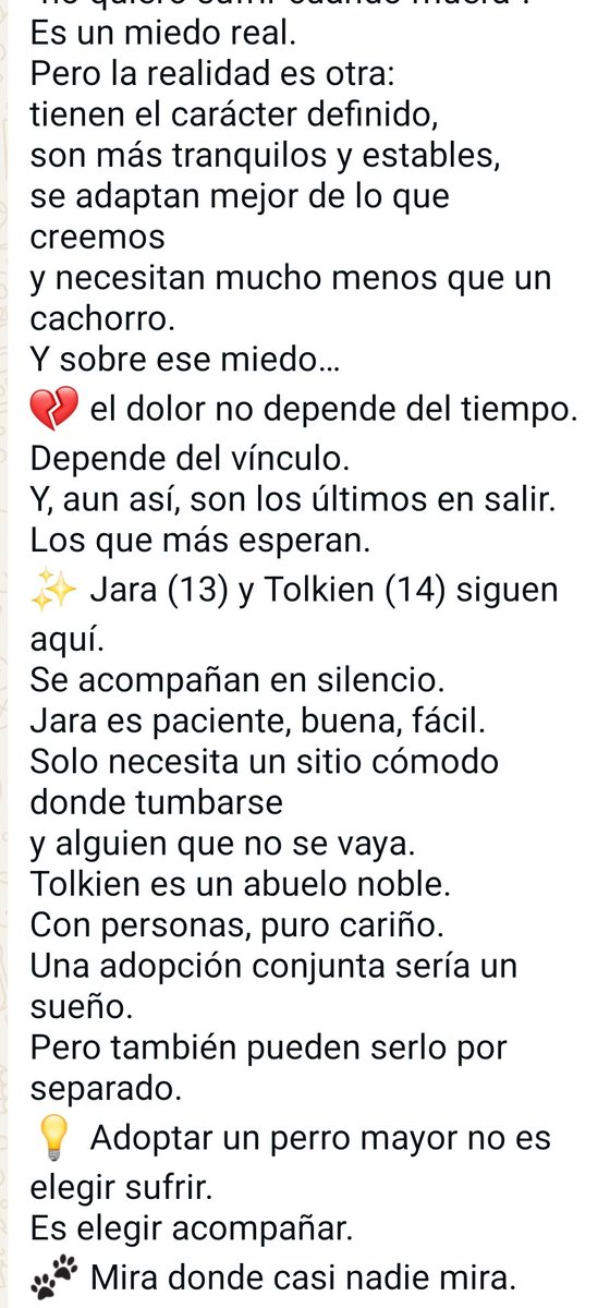 🐾 A LOS PERROS MAYORES NADIE LOS ELIGE 🐾 NO LES ASUSTA MORIR. LES ASUSTA NO HABER VIVIDO

#Jara #Tolkien #adoptaUnAbuelito #AdoptaNocompres #España #UltimaHora 

<a href="/SosAbuelos1/">SOS Abuelos</a>