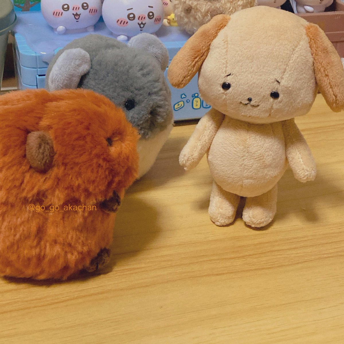 あかちゃん tweet media