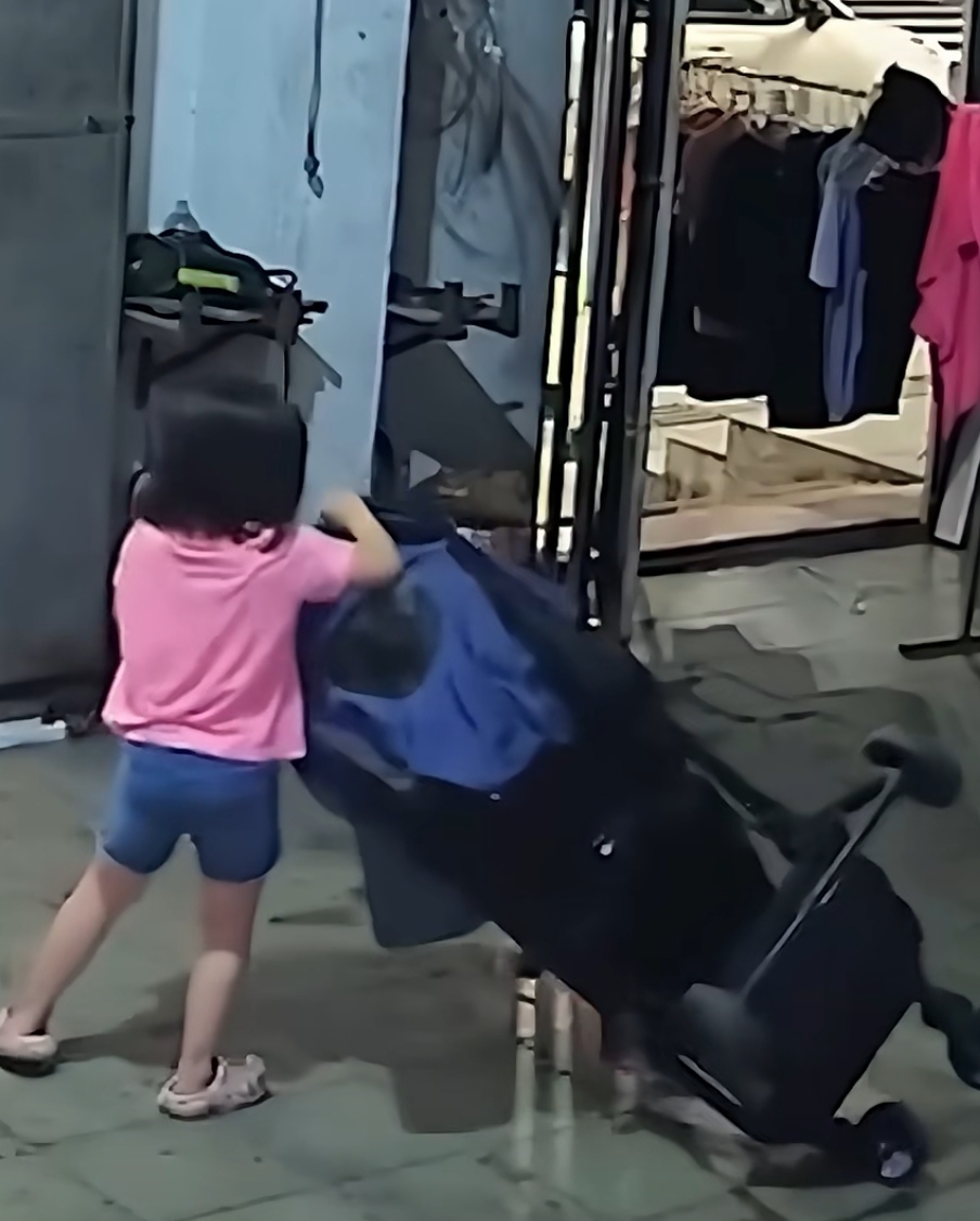 frank zirpoli tweet media