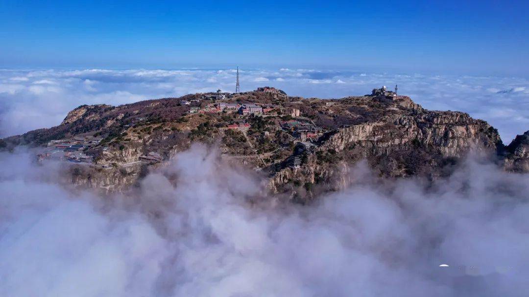 Tran christopher tweet media