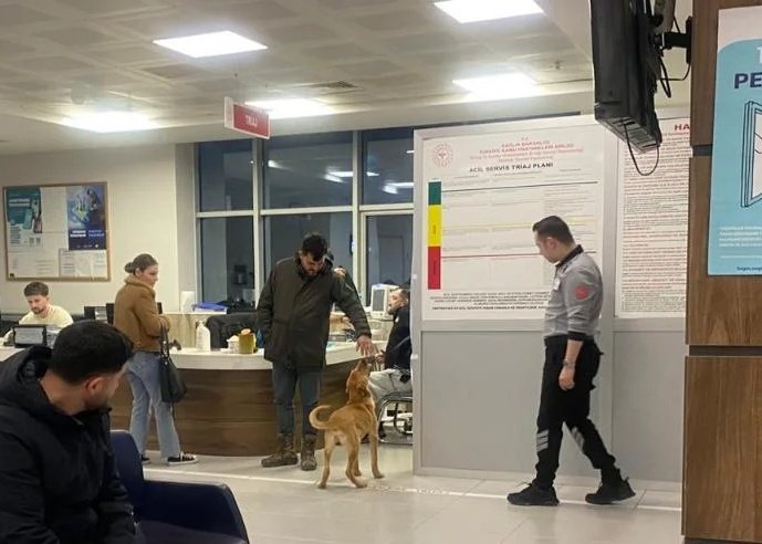 Güvenli Sokaklar tweet media