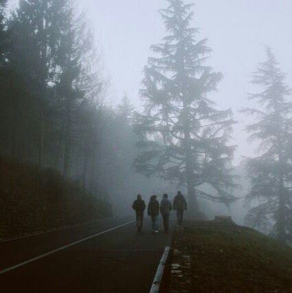 bloodybyler9's tweet photo. I can't stop thinking about if s3 had done summer camp s1 vibes  with monsters in the woods or smth https://t.co/pjGezrAWMD