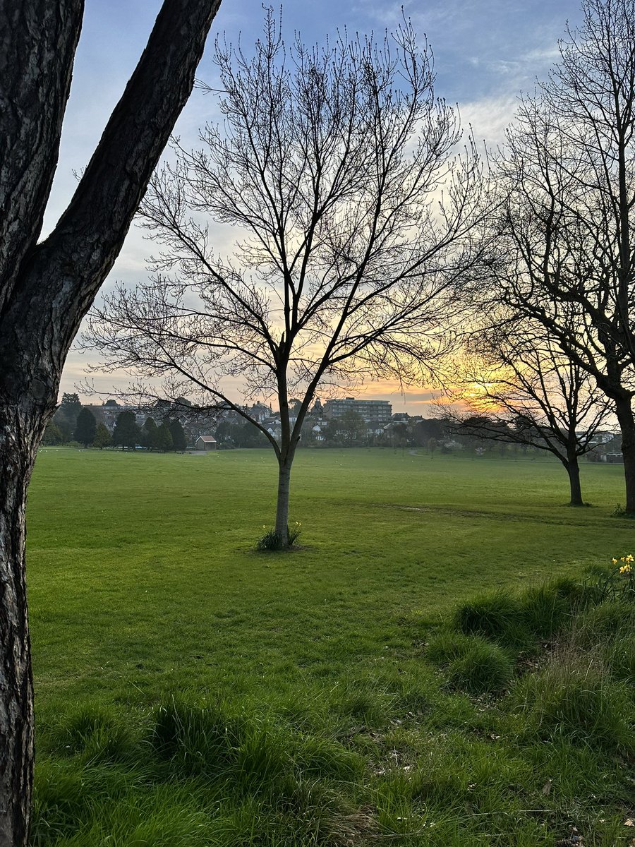 Fi Rodgers tweet media