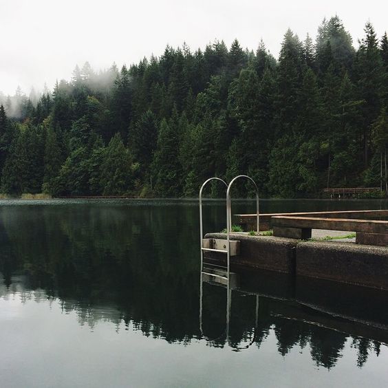 bloodybyler9's tweet photo. I can't stop thinking about if s3 had done summer camp s1 vibes  with monsters in the woods or smth https://t.co/pjGezrAWMD