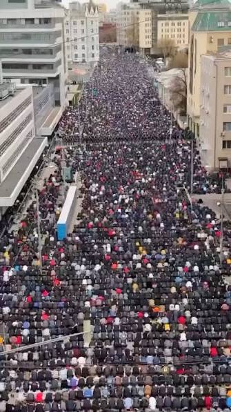 🪽🌕 لا Adèle Ho🕊لا 🇨🇵 tweet media