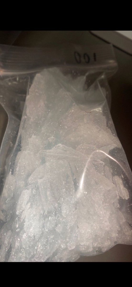 📸写真館📸 tweet media