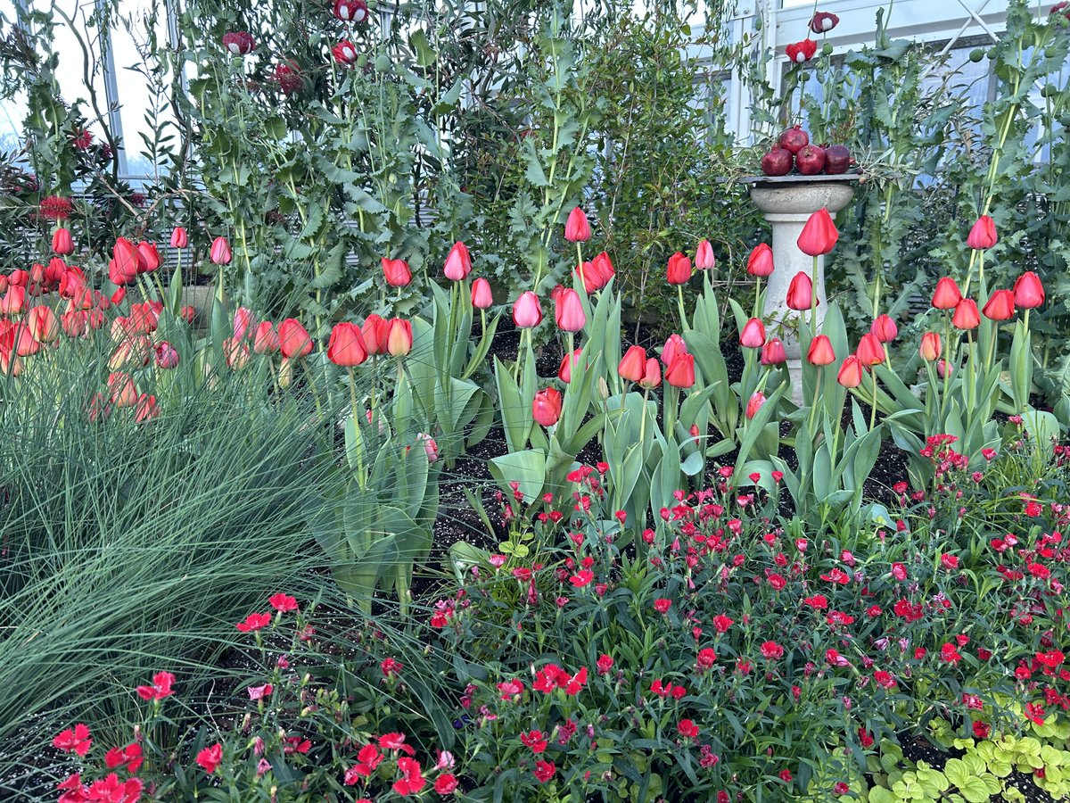 Como Zoo tweet media