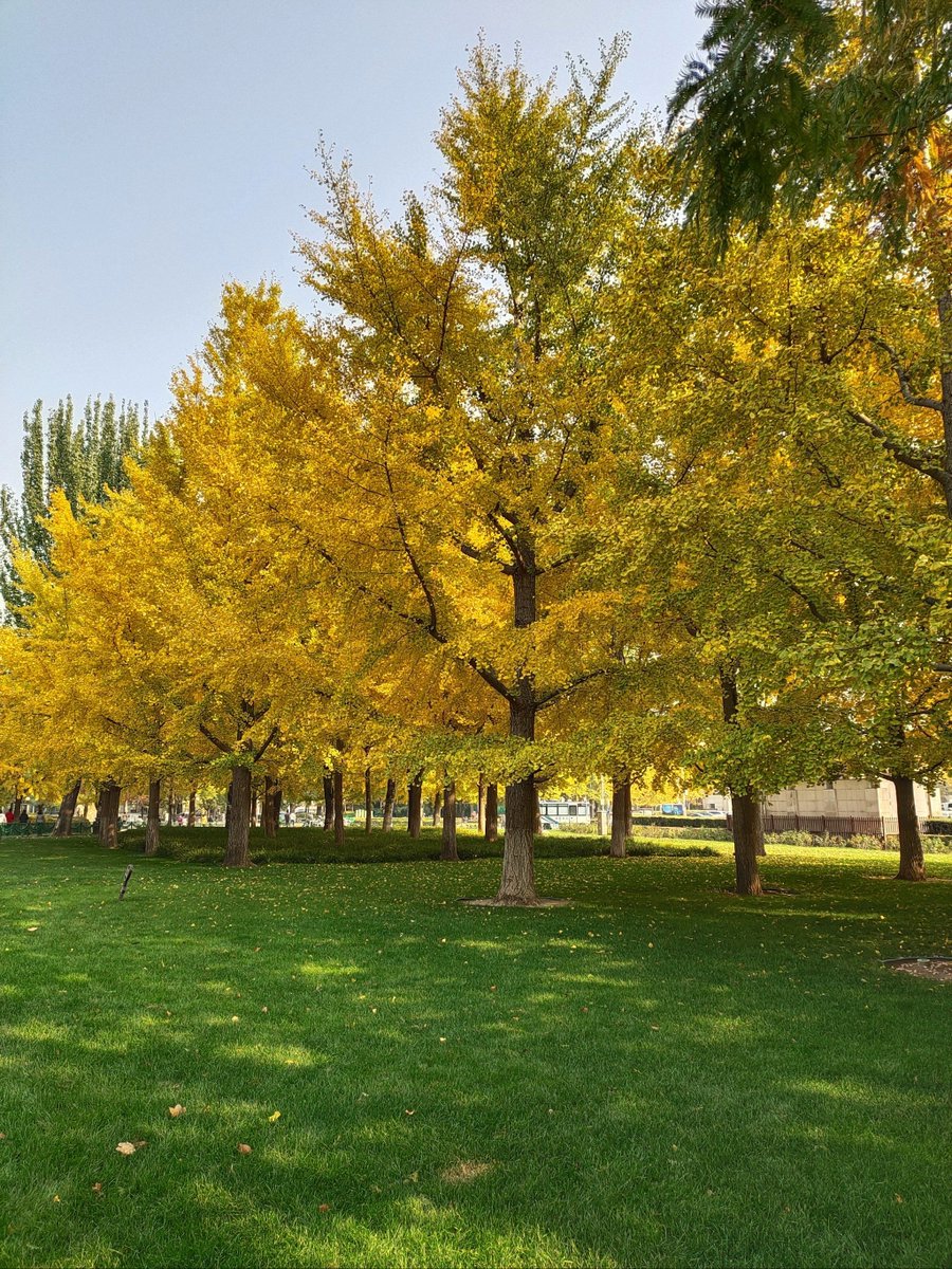 alessio vassallo tweet media