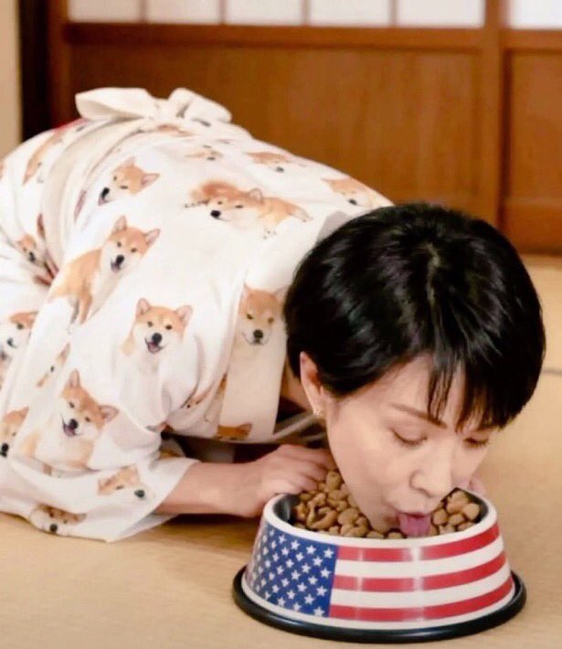 Pepe Luis tweet media