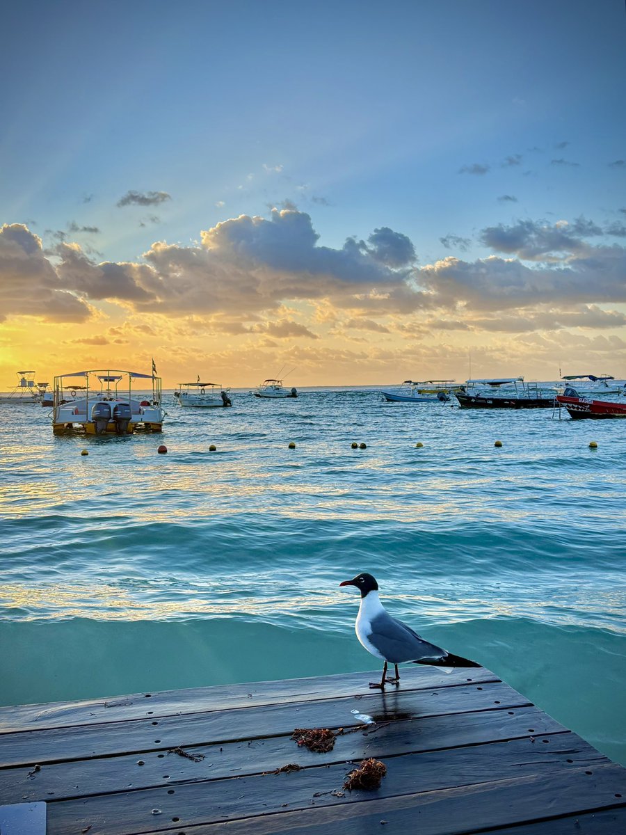 Juan Carlos tweet media