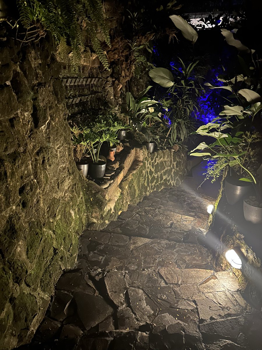 Prince Denver tweet media