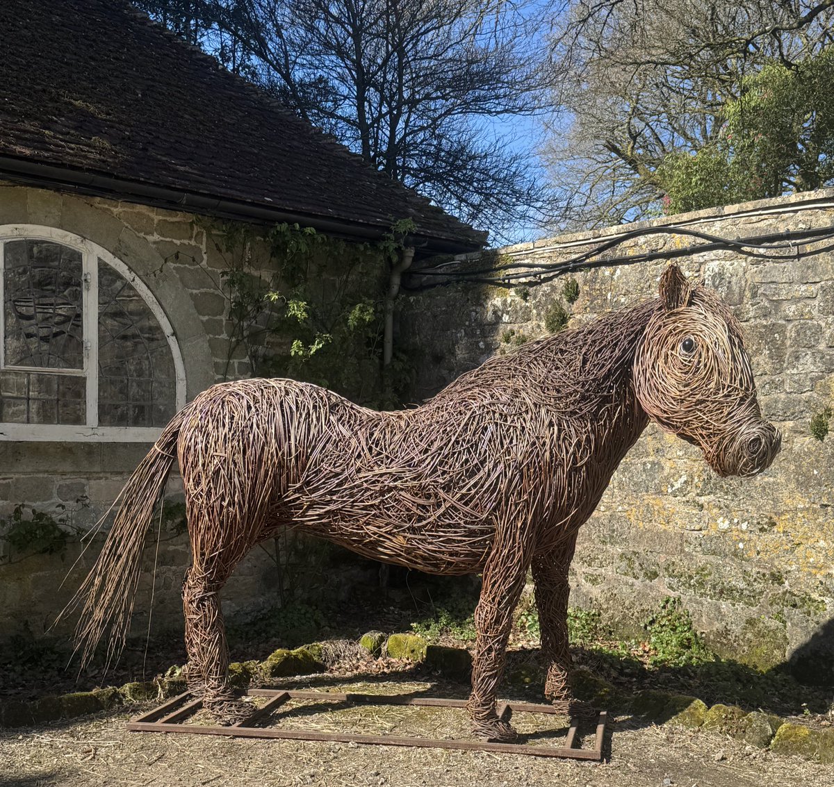 Dawn Williams tweet media