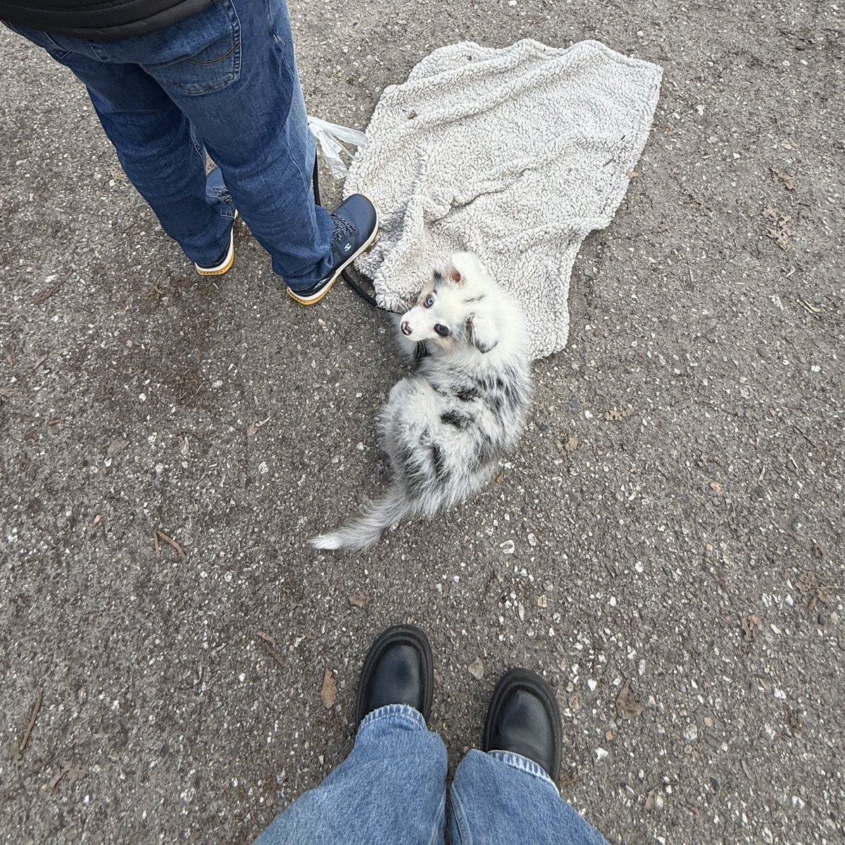 Mila 👩🚀 tweet media