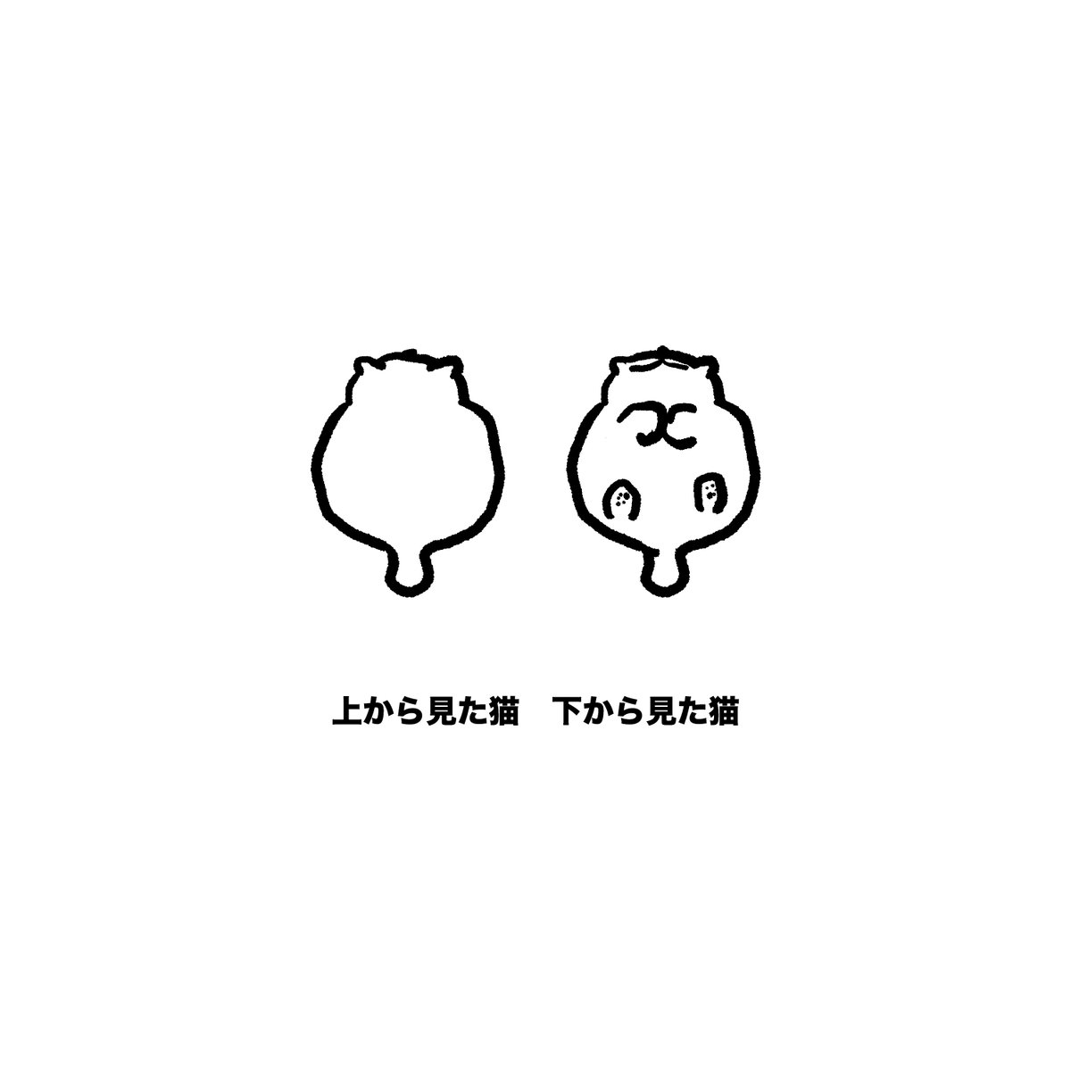 STUDY(反省) tweet media