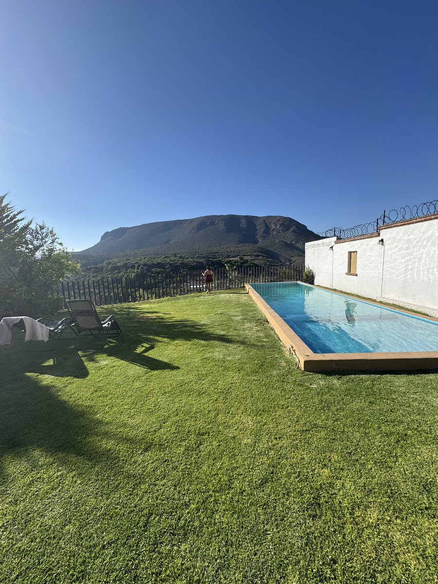 bubbles 💜✨ tweet media