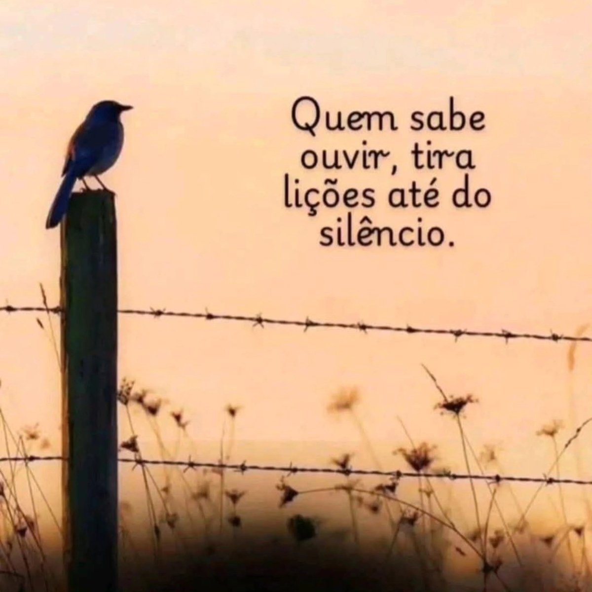 Robert Puente tweet media