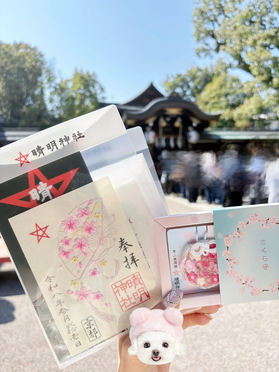 𝘤𝘩𝘪𝘱𝘪 tweet media