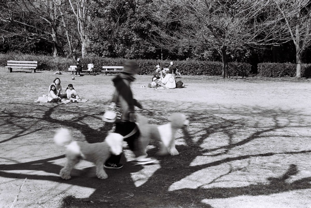 RETINA Ⅲc
ILFORD PAN100
SPD1+1 20℃ 7:30sec