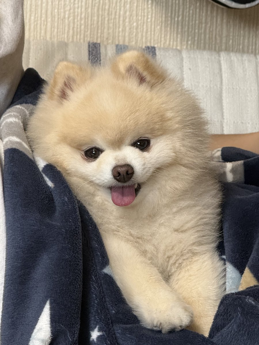 そらちゃんねる tweet media