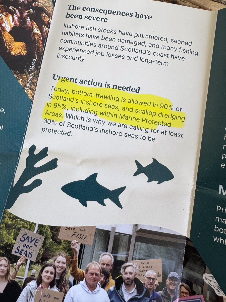 Rewild Scotland 🏴󠁧󠁢󠁳󠁣󠁴󠁿🌳 tweet media