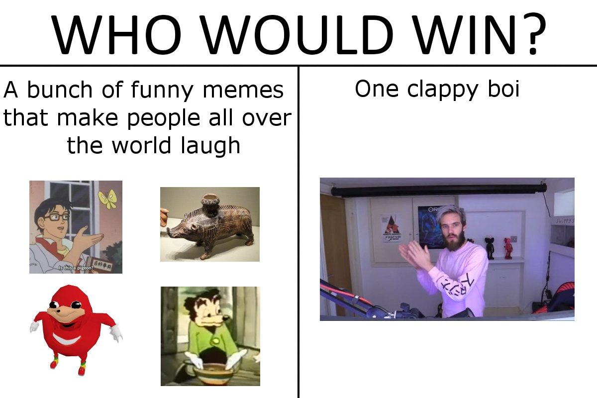 Quokka & Co tweet media