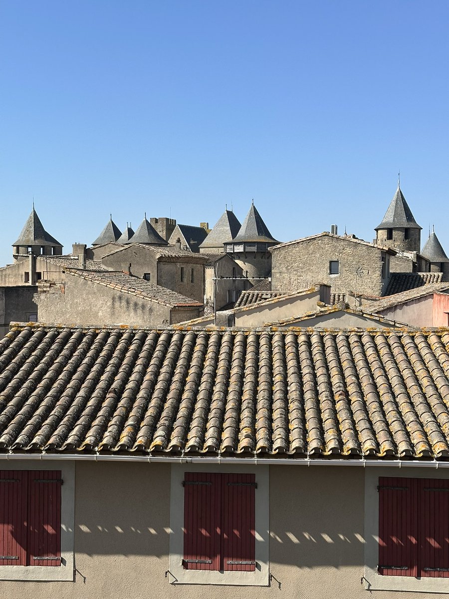 Frid 🇪🇺🦌 tweet media