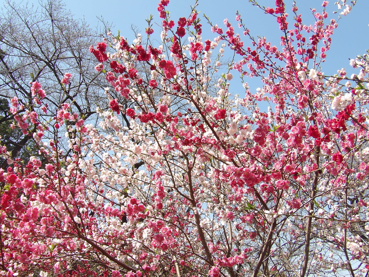 Torbjörn Andersson tweet media