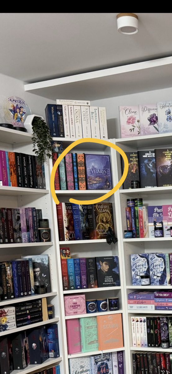 ᴋᴏᴛ |🧣 tweet media