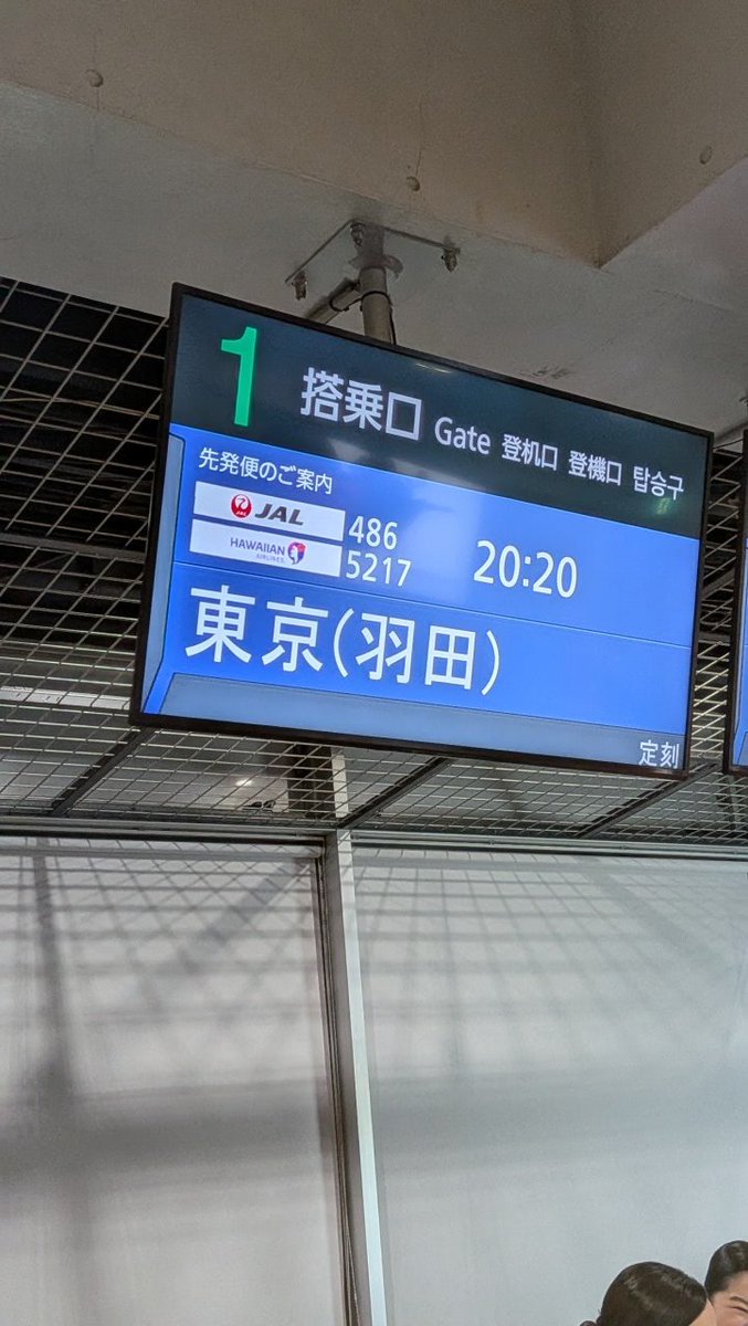 tsho / Sho Tanaka ❄️ tweet media