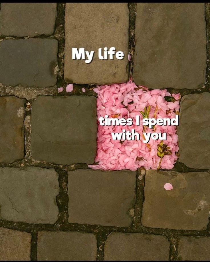 Emotions tweet media