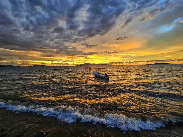 Zack Sande tweet media